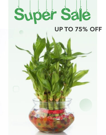 super-sale-banner